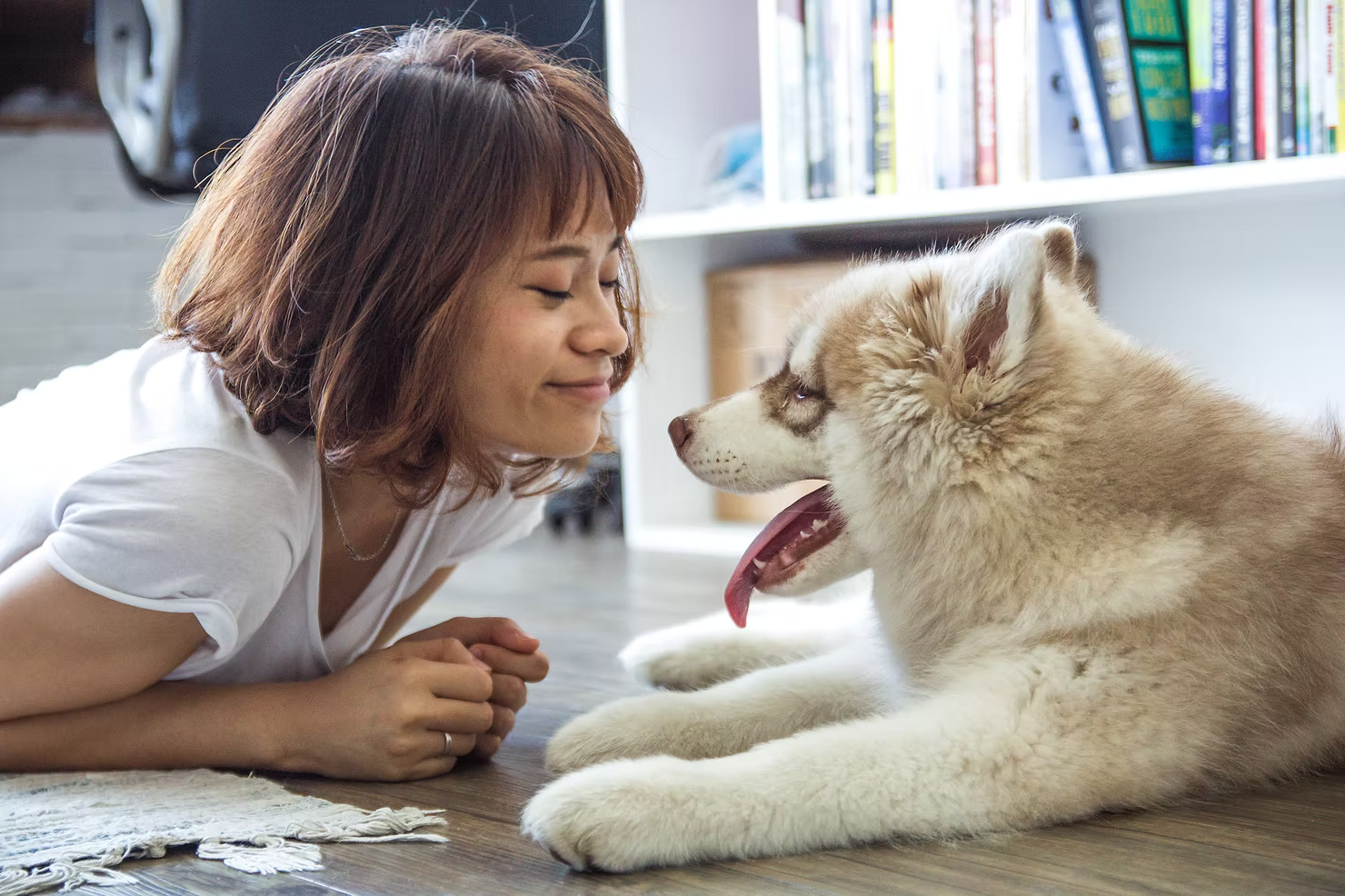 Is Hypochlorous Acid Safe for Dogs? Here’s What Every Pet Parent Should Know