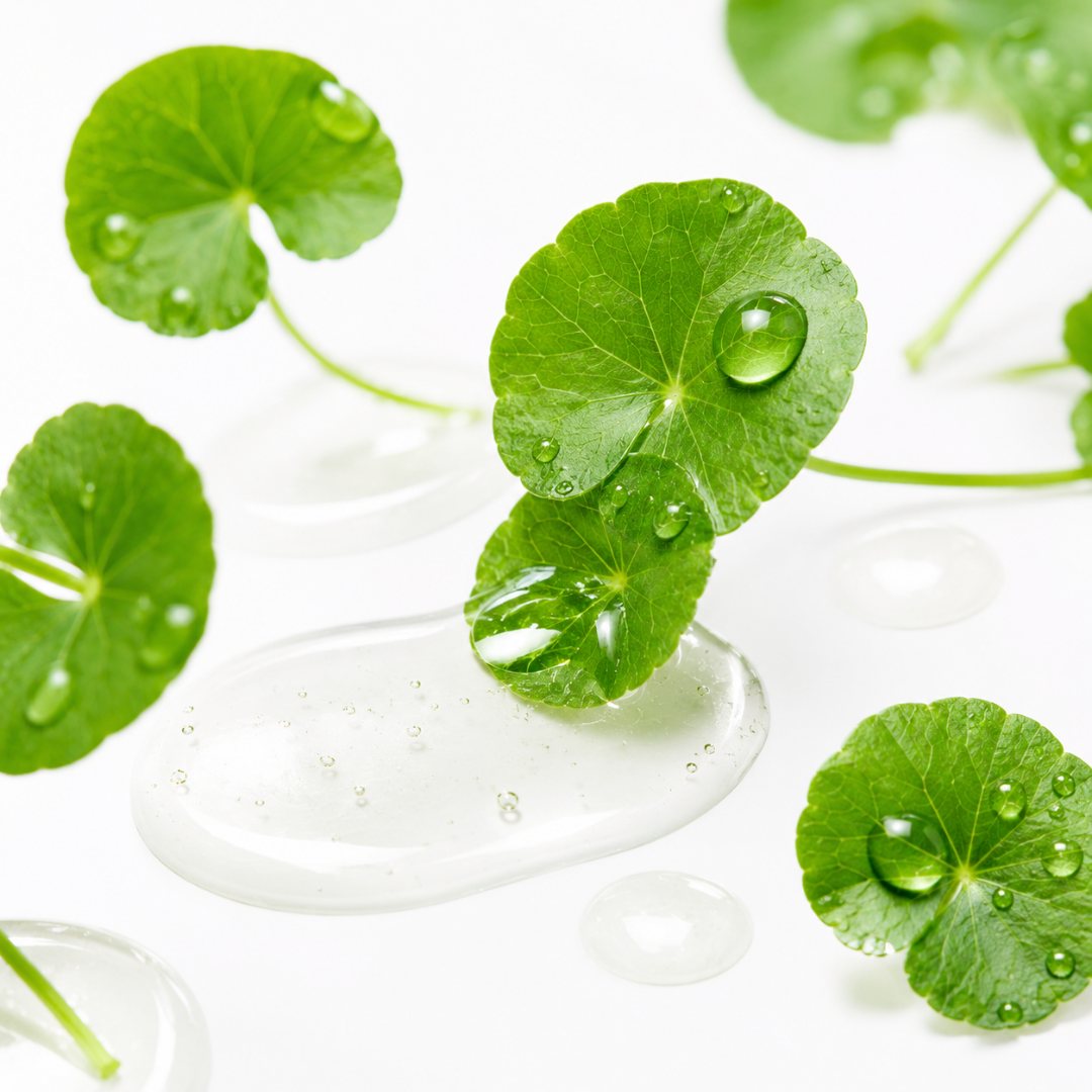 Centella Asiatica