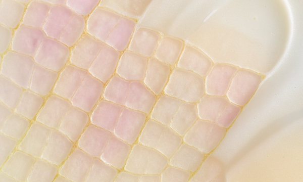 Panthenol (Provitamin B5)