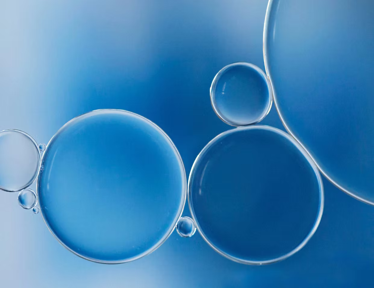 Tackling Dehydrated Skin with Hypochlorous Acid and Polyglutamic Acid