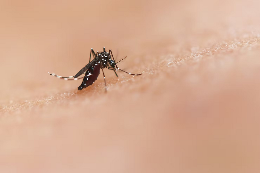 Hypochlorous Acid for Treating Bug Bites: Fast, Natural Relief for Itchy Skin
